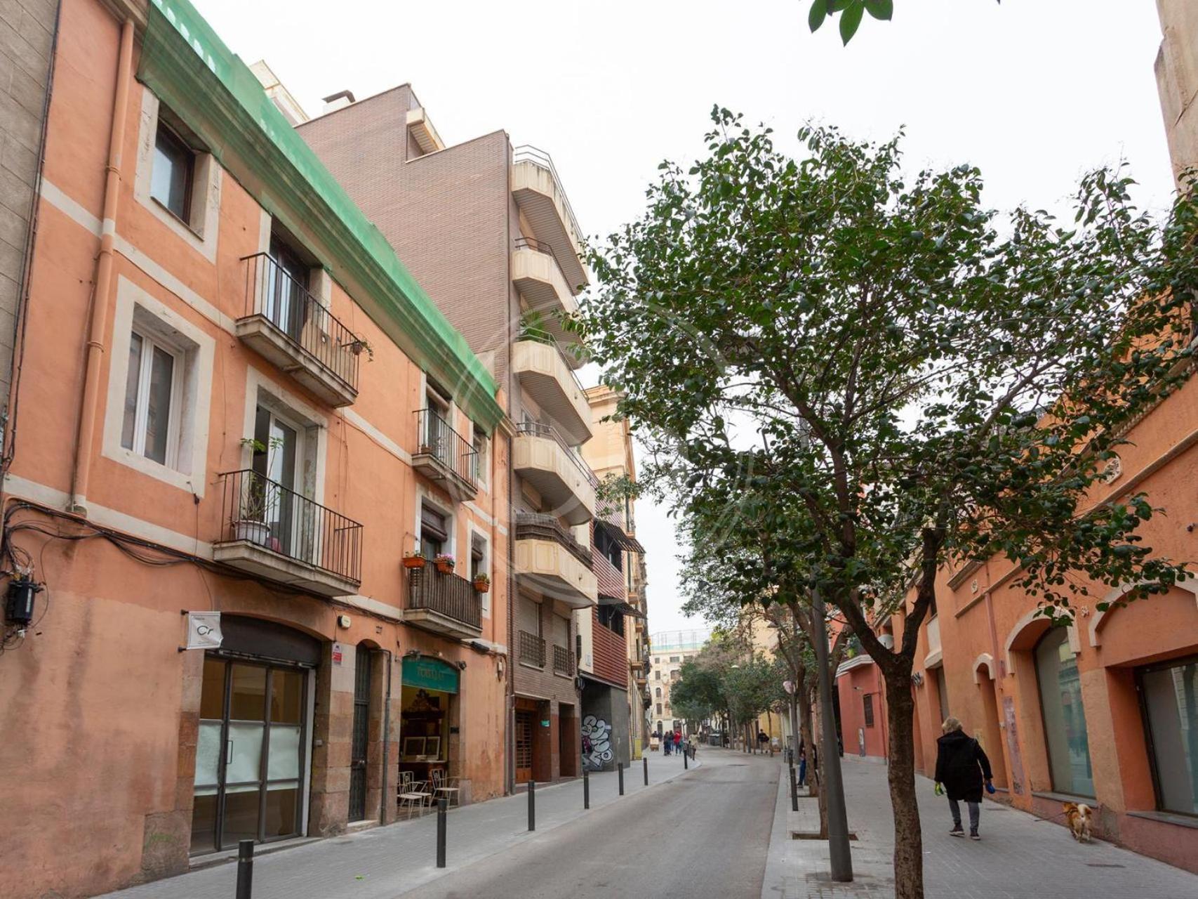 Bonito Apartamento En Gracia Barcelona Zewnętrze zdjęcie